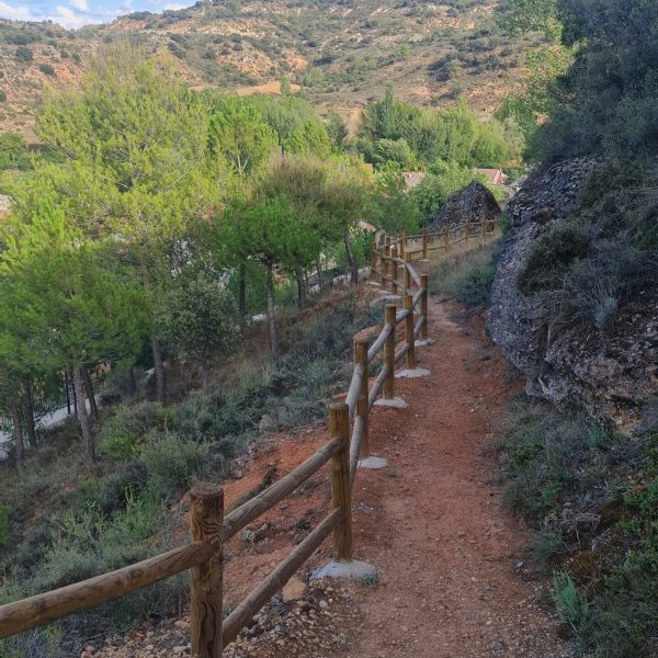 122834ba-df4b-4d70-9643-b1d9983cf1fe